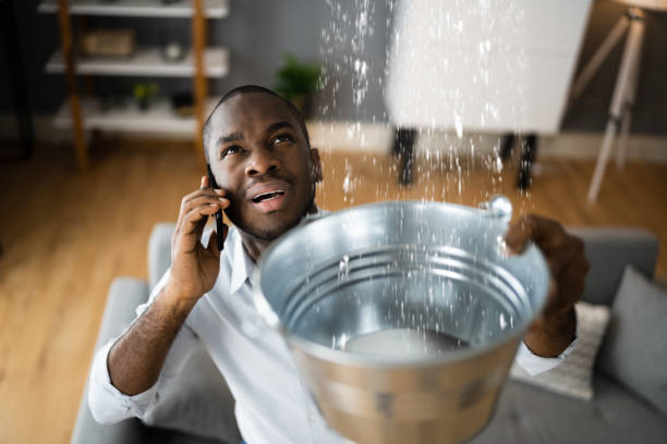 Best Professional water damage repair  in Weaverville, NC