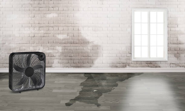Best Flood damage cleanup  in Weaverville, NC