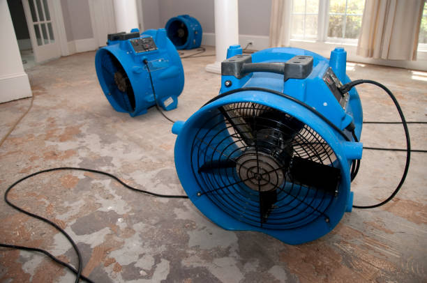 Best Flooded house restoration  in Weaverville, NC
