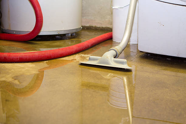 Best Water damage contractors near me  in Weaverville, NC