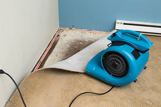 Best Emergency water damage restoration  in Weaverville, NC